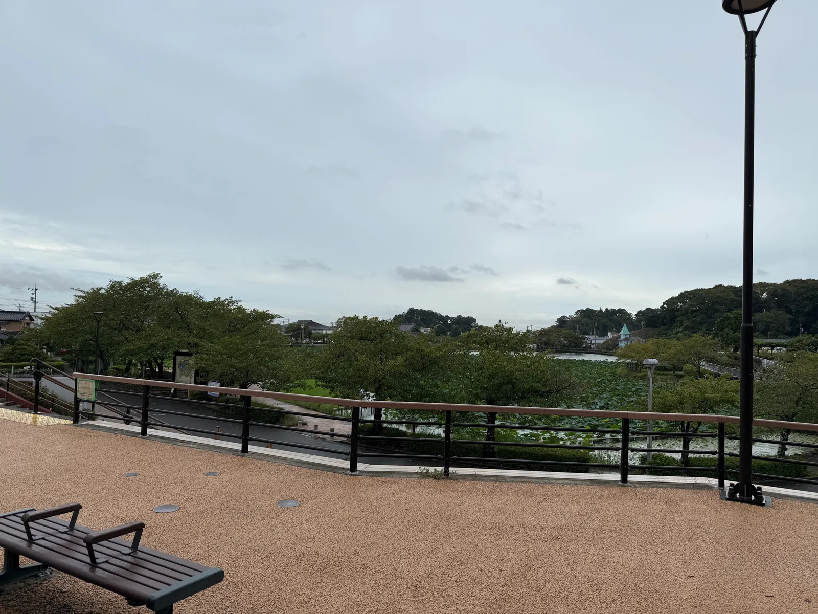 ベンチの向こうに、木々と蓮華寺池が広がる公園の景色。